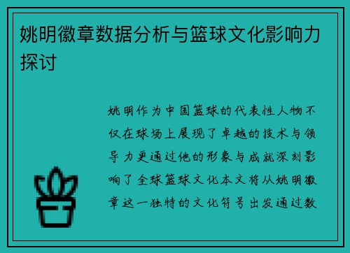 姚明徽章数据分析与篮球文化影响力探讨